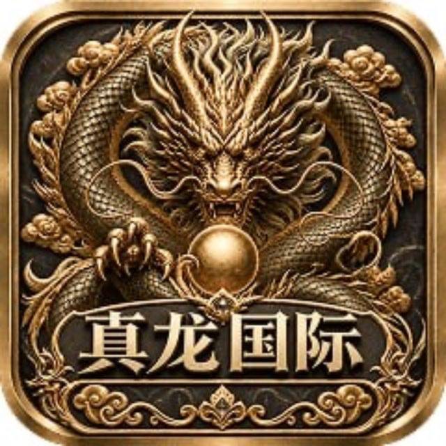 真龙国际